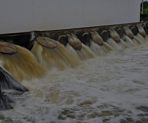 Processing of waste water containing oil