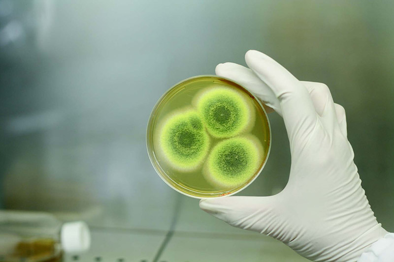 无菌和生物安全